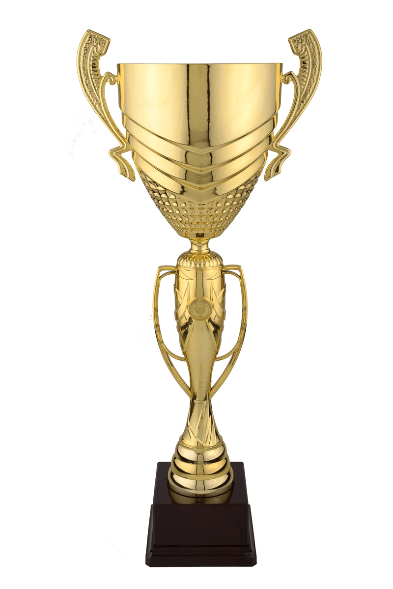 Cupe Sportive CS 16