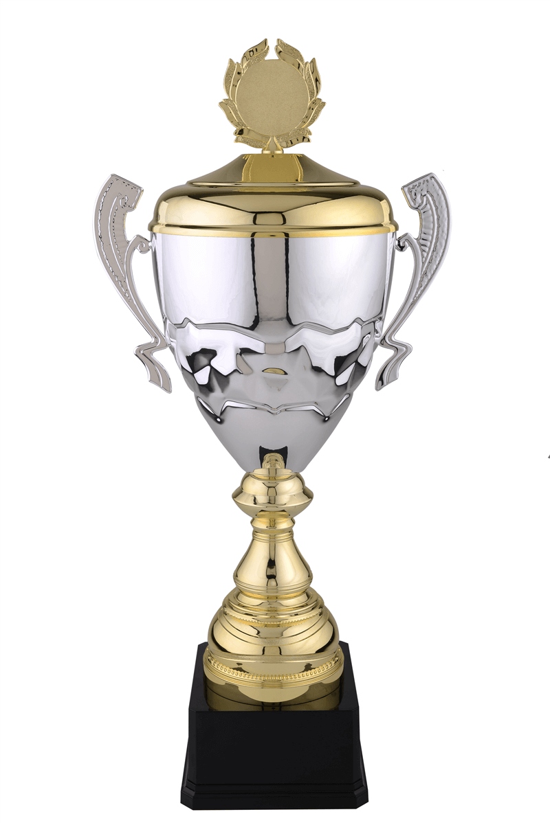 Cupe Sportive CS 17