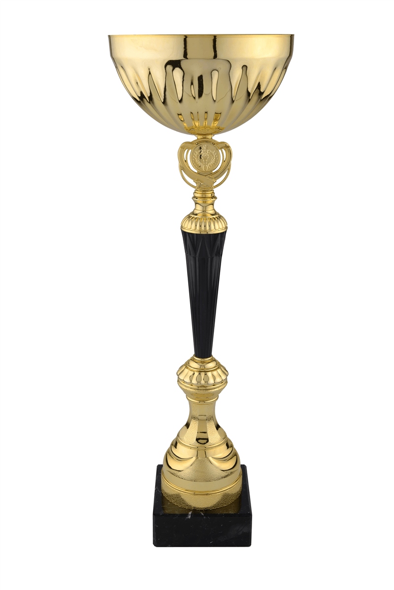 Cupe Sportive CS 49