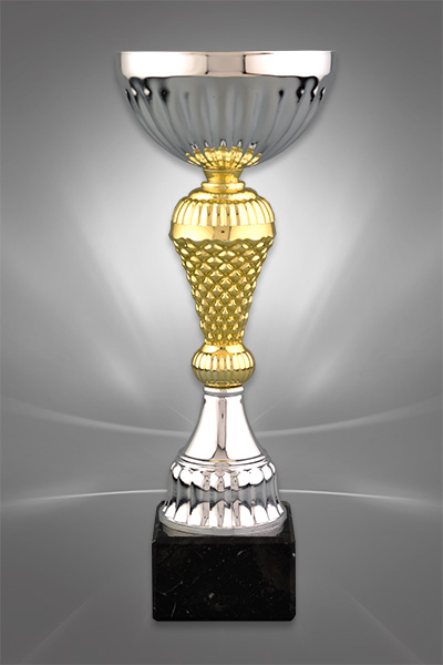Cupe Sportive Ieftine CE 24