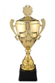 Cupe Sportive CS 08