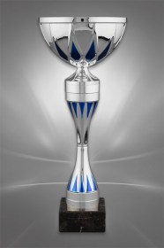 Cupe Sportive CS 28
