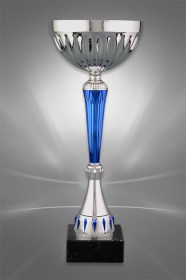 Cupe Sportive CS 36