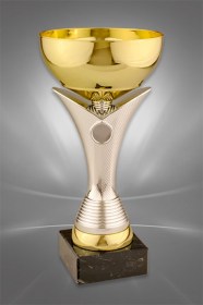 Cupe Sportive CS 39
