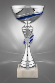 Cupe Sportive CS 40