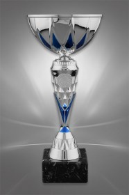 Cupe Sportive CS 63
