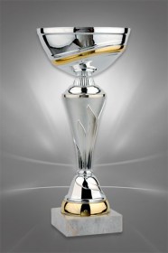 Cupe Sportive CS 66