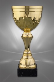 Cupe Sportive CS 69