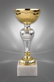 Cupe Sportive CE 02