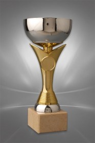 Cupe Sportive CE 06