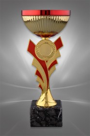 Cupe Sportive CE 07