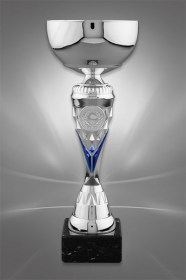 Cupe Sportive CE 08