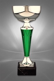 Cupe Sportive CE 10