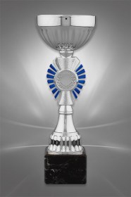 Cupe Sportive CE 11