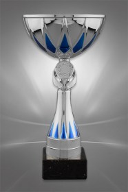 Cupe Sportive CE 12