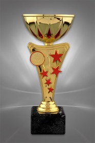 Cupe Sportive Ce 12 Cupe Sportive Economice Trofee Si Premii Infinitytrophy