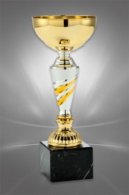 Cupe Medalii Trofee Gravura Print Digital Infinity Trophy
