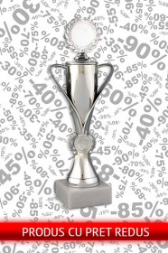 Cupe Ieftine Oferte Si Promotii Trofee Si Premii Personalizate