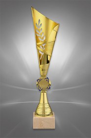 Cupe Economice P Line Trofee Premii Personalizate Infinity Trophy