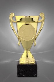 Cupe Sportive PE 12