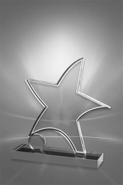 Trofee Personalizate PSW 113