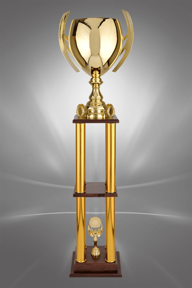 Trofee sportive TS 100